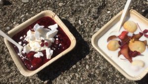 Majas Sommerfristelser